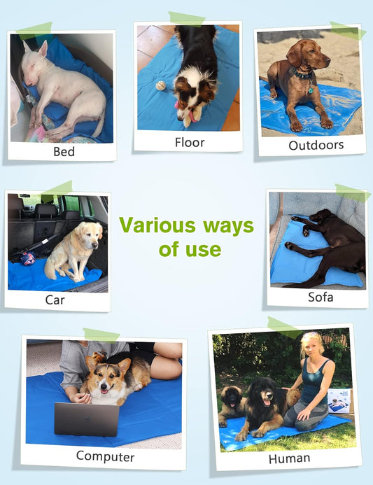 Kühlmatte für Hunde und Katzen
